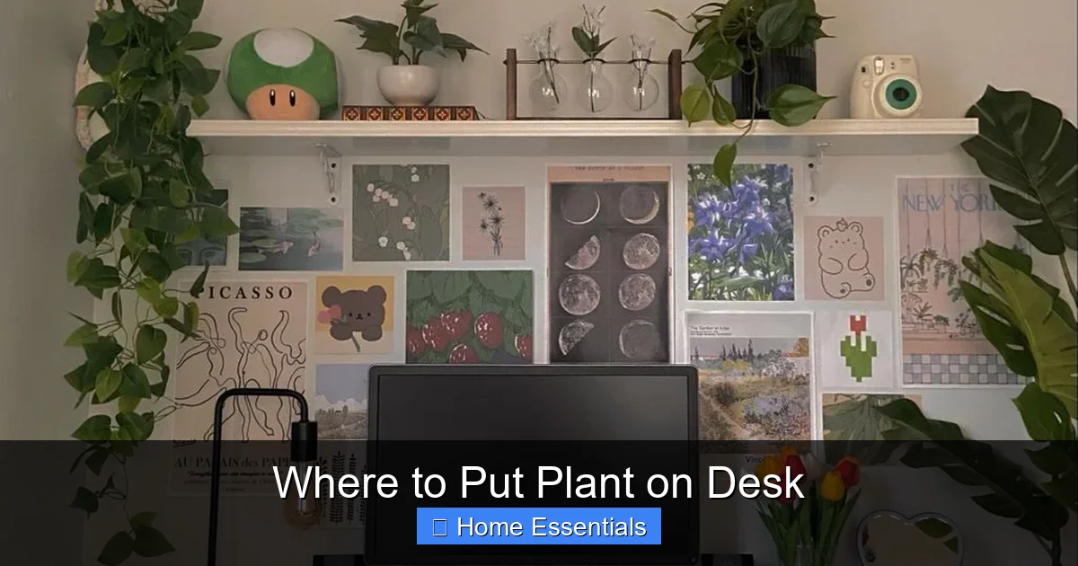 Where to Put Plant on Desk
