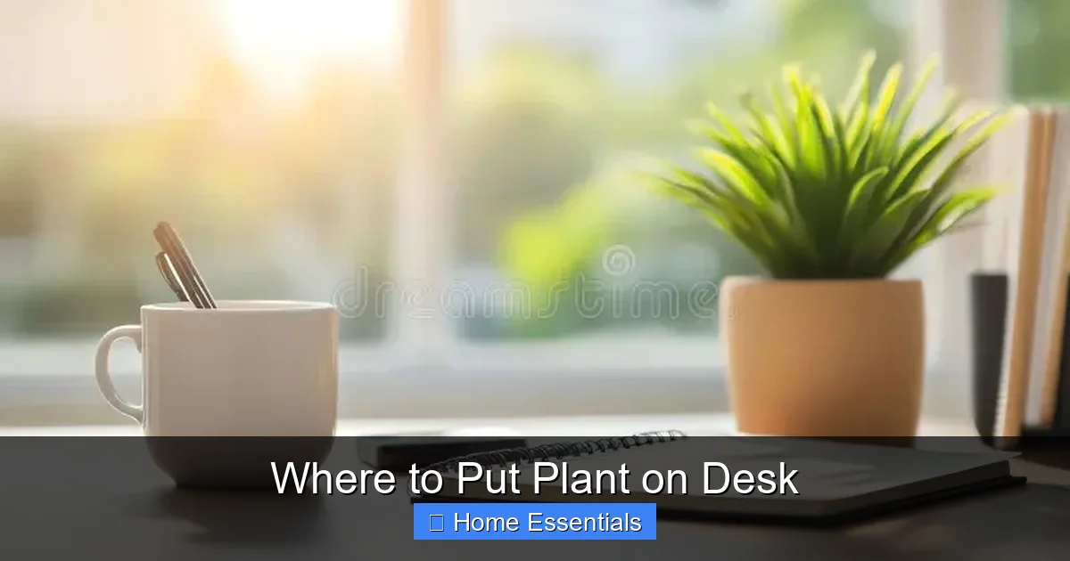 Where to Put Plant on Desk