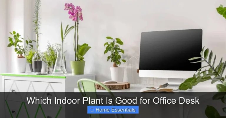 Which Indoor Plant Is Good for Office Desk