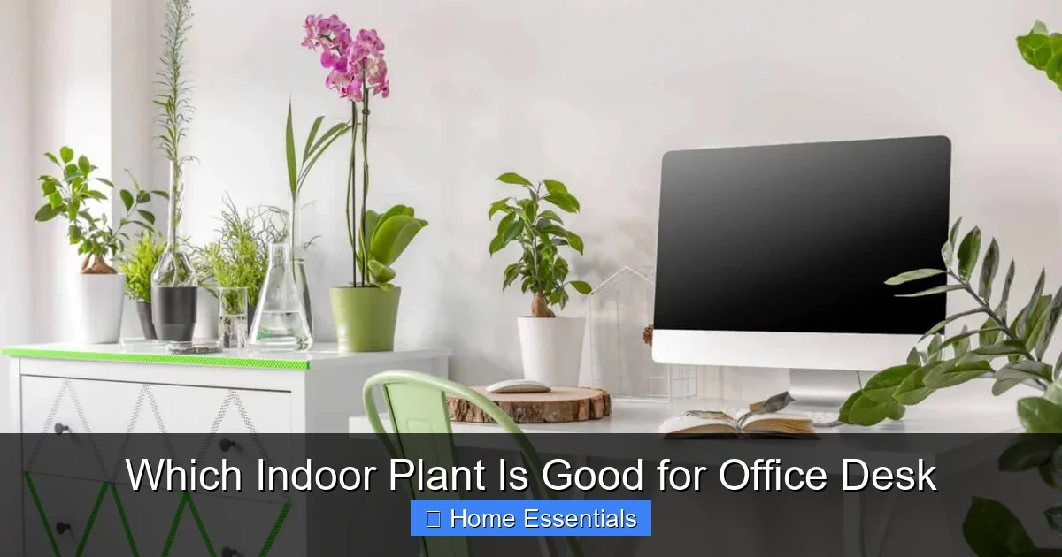 Which Indoor Plant Is Good for Office Desk