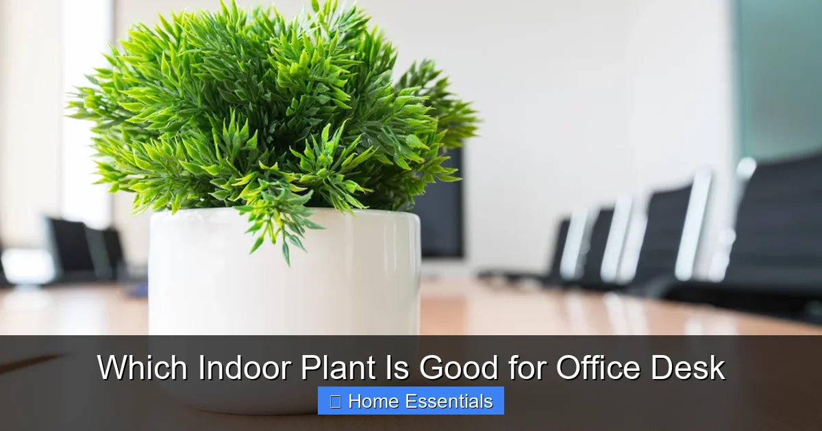 Which Indoor Plant Is Good for Office Desk