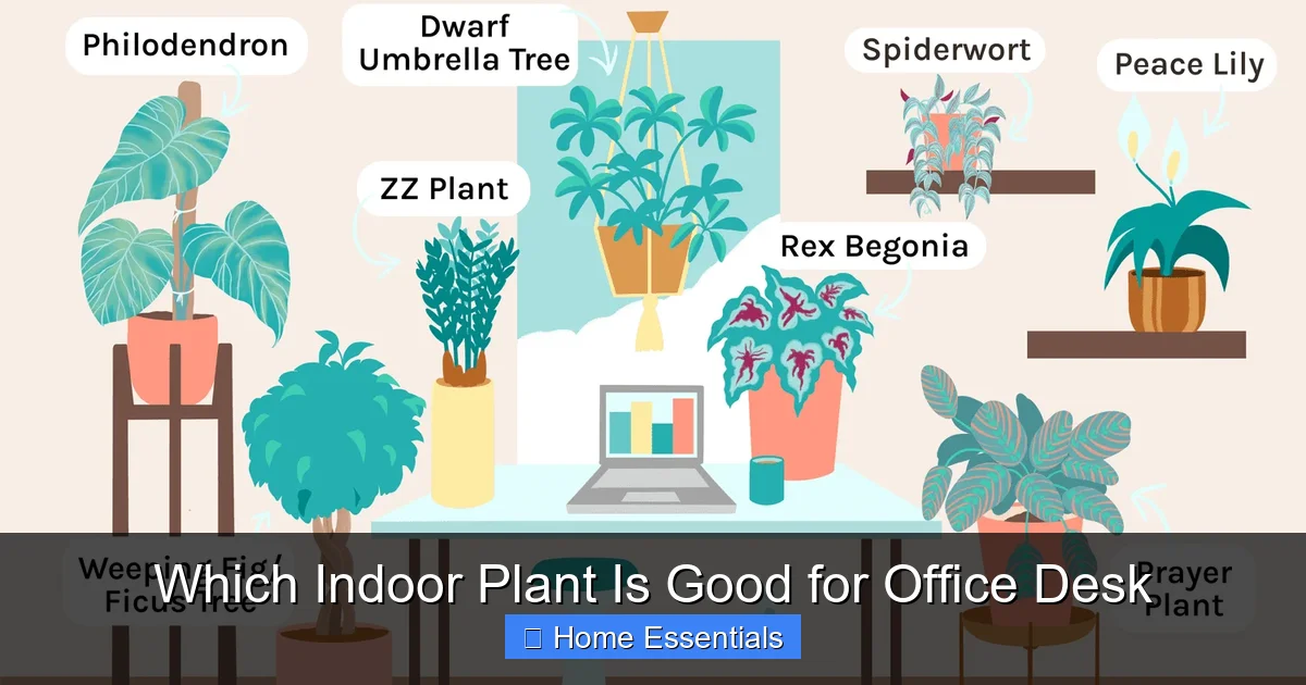 Which Indoor Plant Is Good for Office Desk