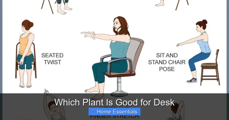 Which Plant Is Good for Desk