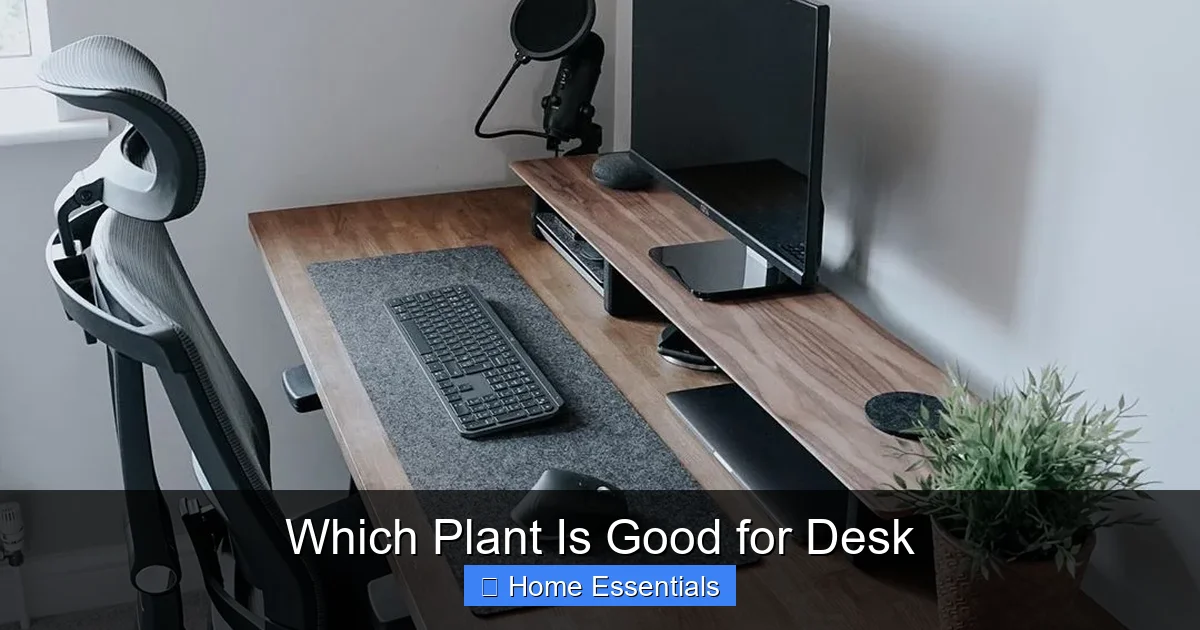 Which Plant Is Good for Desk