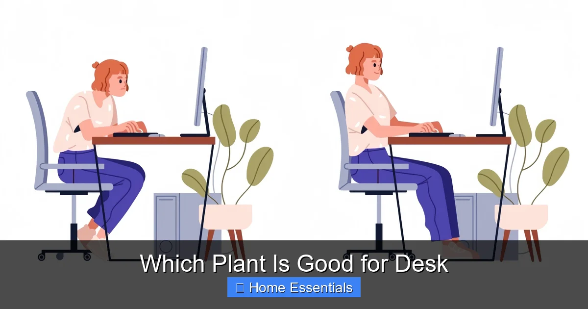 Which Plant Is Good for Desk