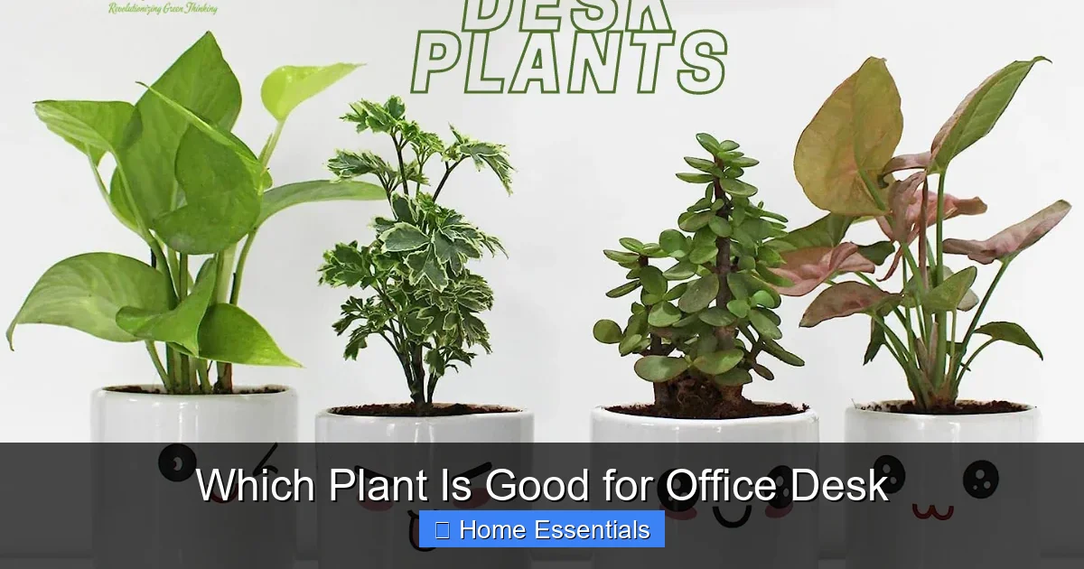 Which Plant Is Good for Office Desk