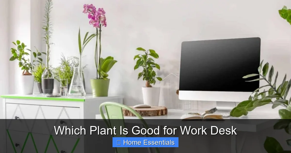 Which Plant Is Good for Work Desk