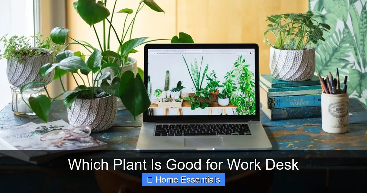 Which Plant Is Good for Work Desk