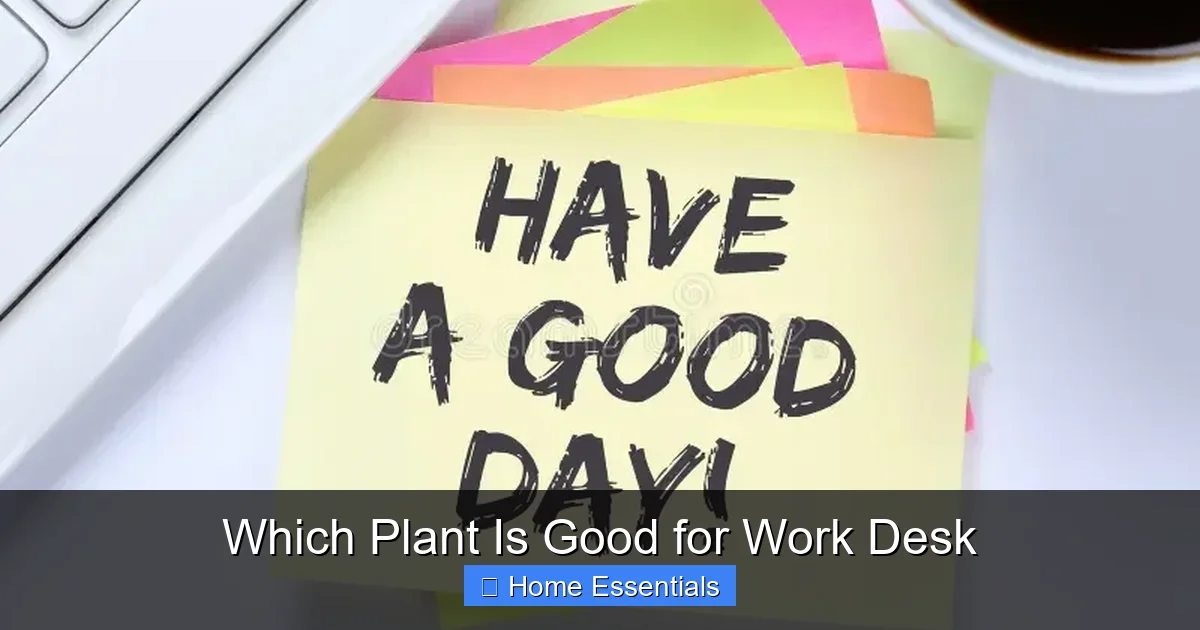 Which Plant Is Good for Work Desk