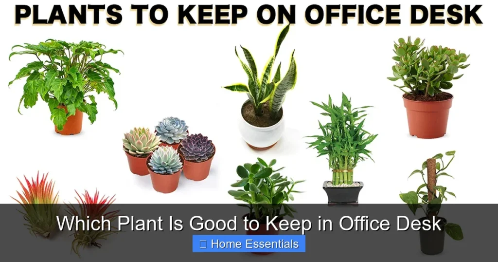 Which Plant Is Good to Keep in Office Desk
