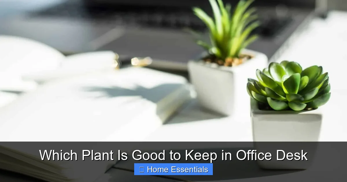 Which Plant Is Good to Keep in Office Desk