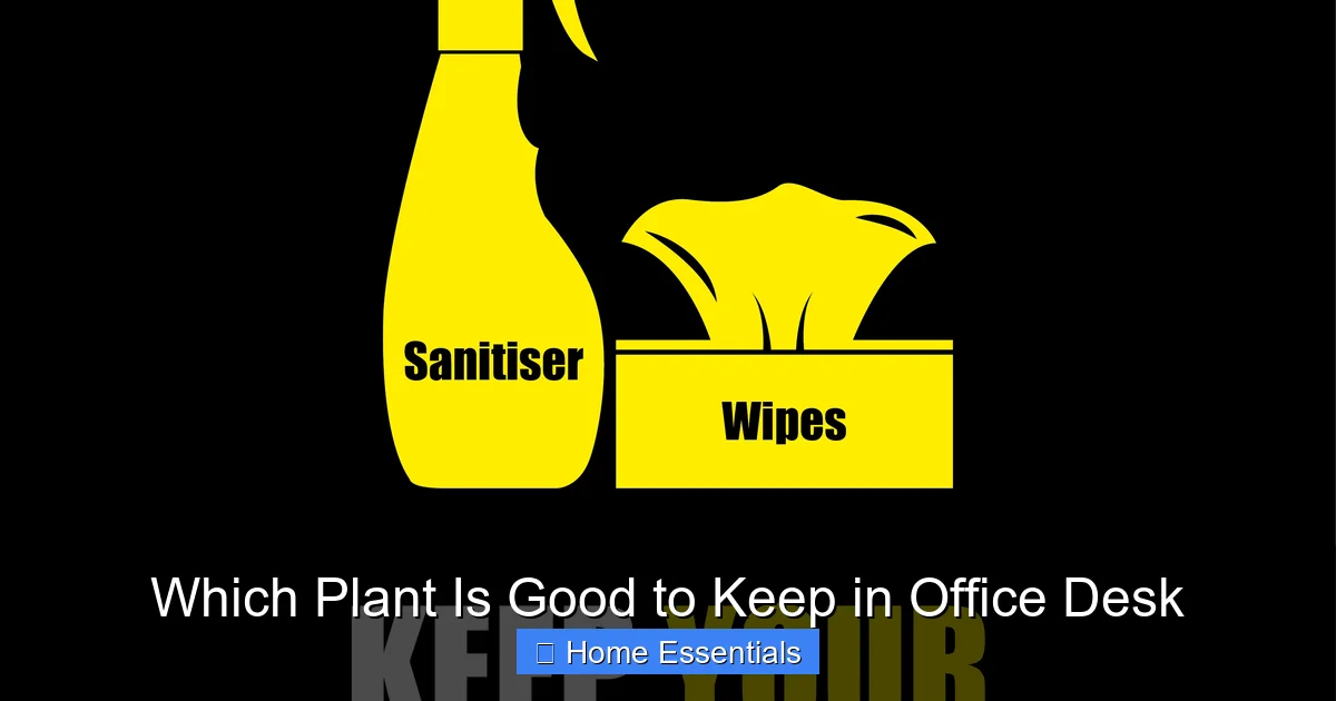 Which Plant Is Good to Keep in Office Desk