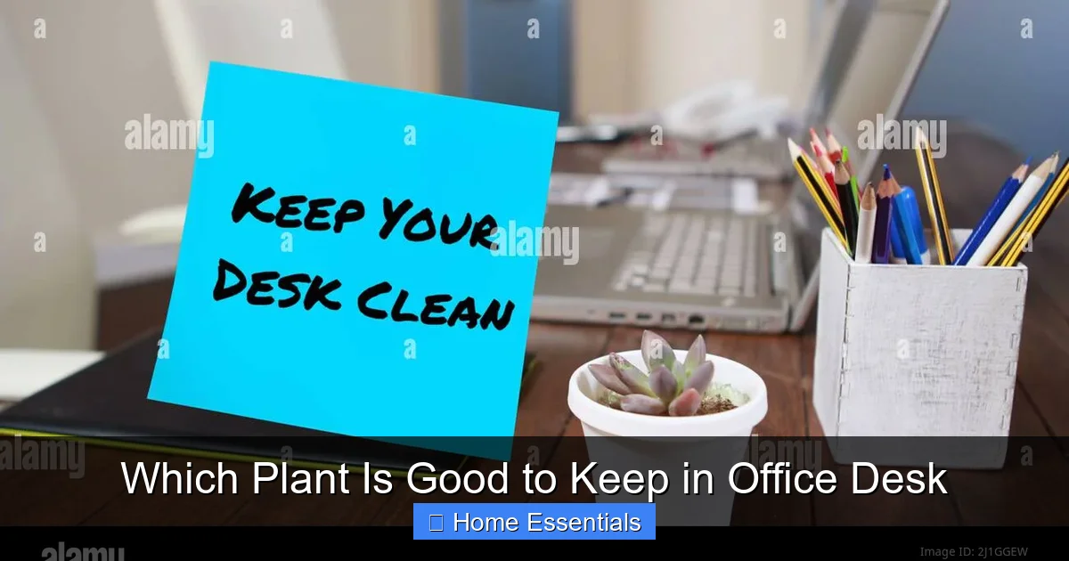 Which Plant Is Good to Keep in Office Desk