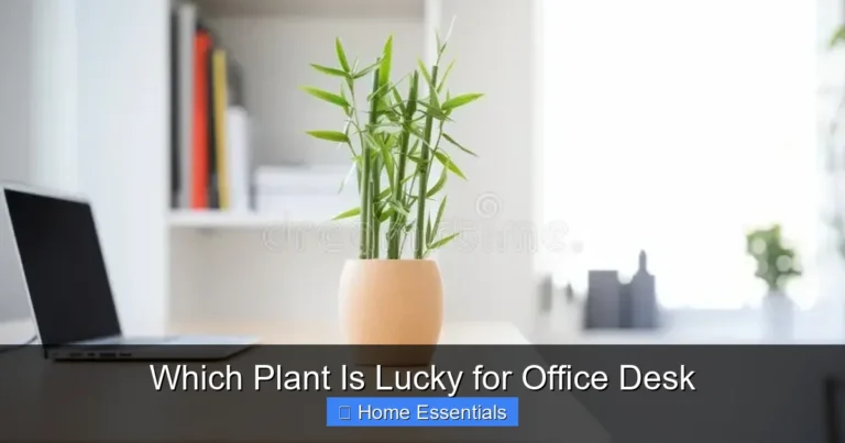 Which Plant Is Lucky for Office Desk