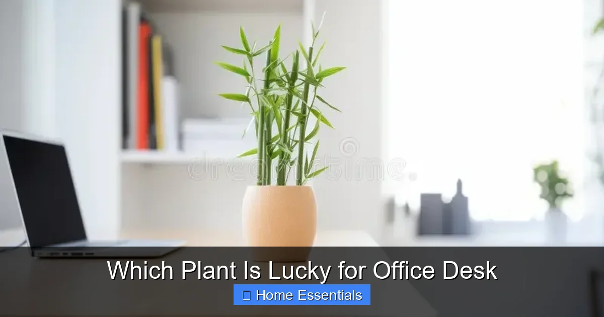 Which Plant Is Lucky for Office Desk