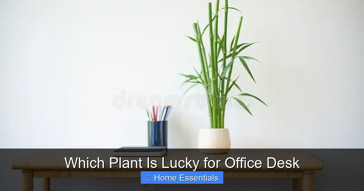 Which Plant Is Lucky for Office Desk