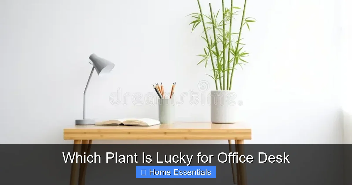 Which Plant Is Lucky for Office Desk