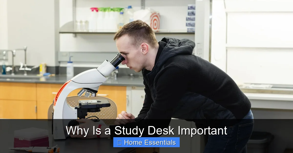 Why Is a Study Desk Important
