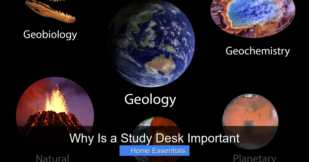 Why Is a Study Desk Important