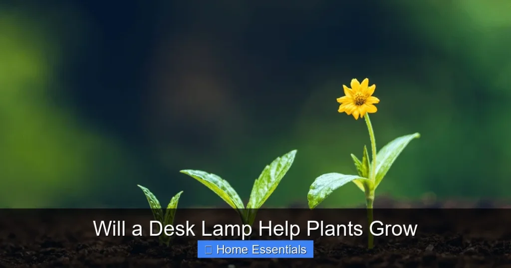 Will a Desk Lamp Help Plants Grow