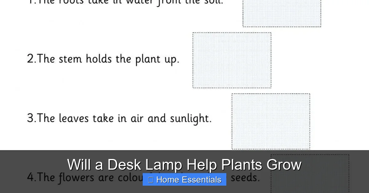 Will a Desk Lamp Help Plants Grow