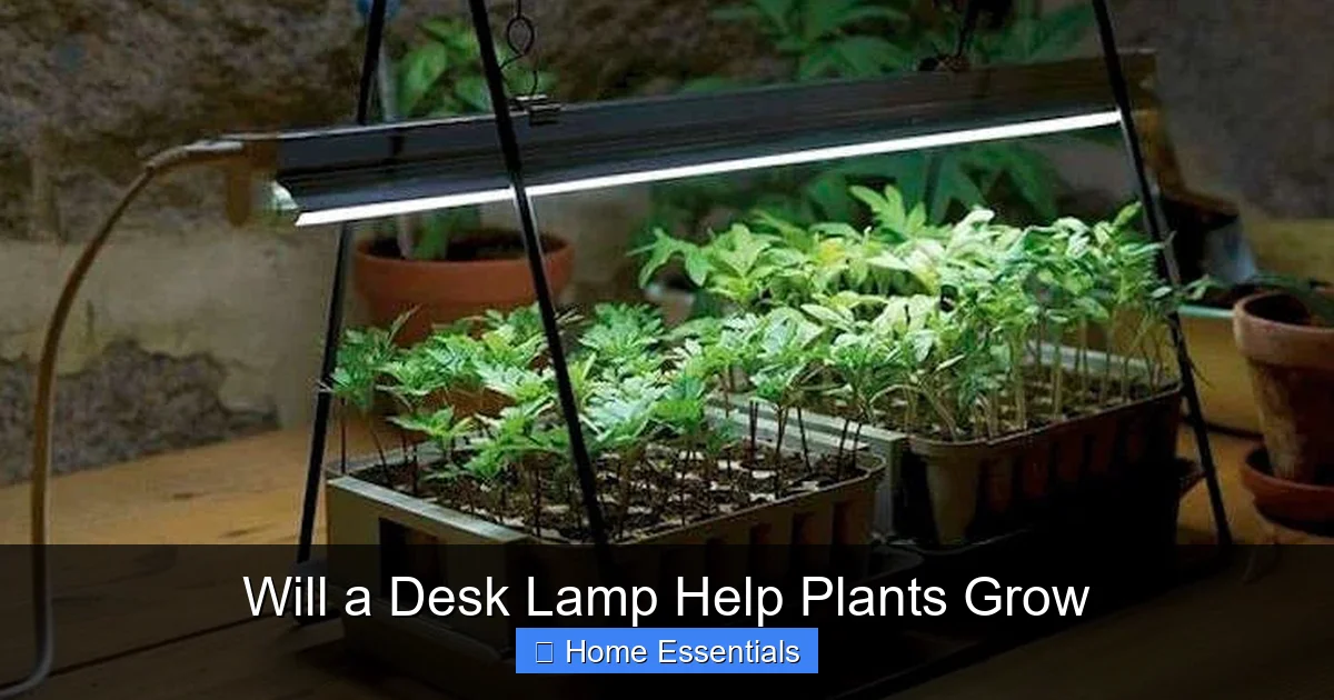 Will a Desk Lamp Help Plants Grow