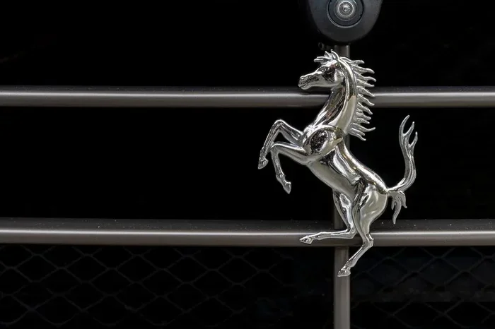 Which Animal Can Be Seen On The Porsche Logo Revealed