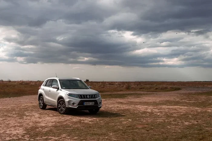 Which Suzuki Models Are Hybrid Cars on the Market Today