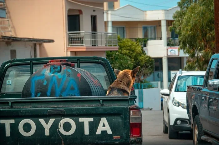 Toyota Stout Release Date Everything You Need to Know